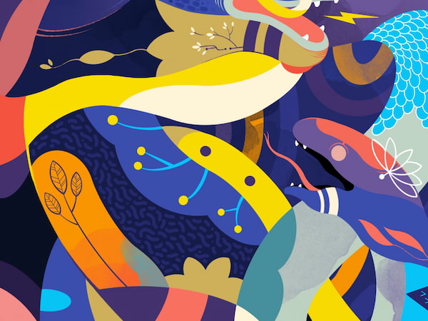 procreate笔刷库 - 入门绘画教程,全明星笔刷下载