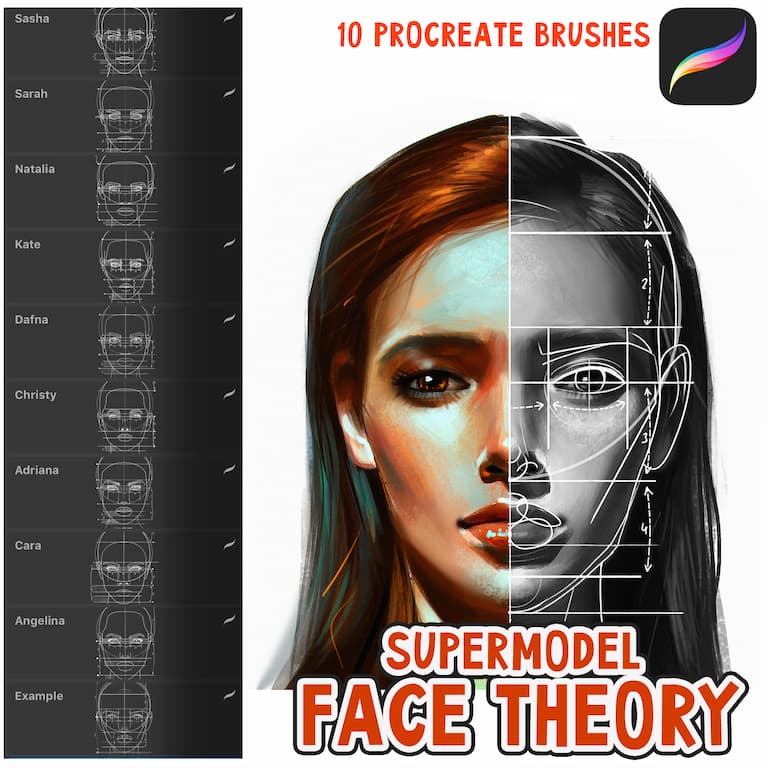 人像超模脸型模特辅助线笔刷-procreate