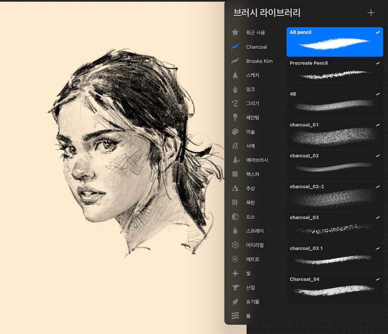 Procreate 炭笔画笔